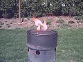 Making wood gas using my wood gas stove/forge Making wood gas using my wood gas stove/forge