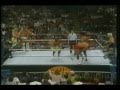The Ultimate Warriors vs. The Heenan Family (Survivor Series 1989) - 1/2