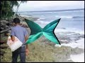 students excursion to the geobiology, palaeontology and geology of the san andres-providencia archipelago (caribbean, colombia), sept. 2001
� palaeontology munich & geobio-centerlmu 2002/2003
filming: dieter schmid, reinhold leinfelder
cut, effects, sound: jessica goldberg, katja hen�el, manuela schellenberger
compression, streaming, alternates: r. leinfelder
originally posted on http://www.palaeo.de/tv/modern/
higher resolution versions under 
http://www.palaeo.de/tv/modern/moderncoral.shtml
tip: see also the state of these reefs in the year 1970 under http://de.youtube.com/watch?v=g-f8a-ollps