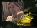 ARMENIAN CONSTIPATED FROGS & Chameleons 1 ARMENIAN CONSTIPATED FROGS & Chameleons 1