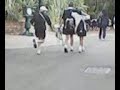 torik steals a bag