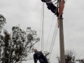 simulacro de rescate de liniero accidentado en linea de media tension (maniquí) en torneo divisional de campo en Irapuato Gto. realizado por el compañero Rafael Vazquez 04 julio de 2008 COMISION FEDERAL DE ELECTRICIDAD