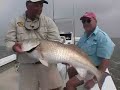 Bull Red Fish St. Simons Island GA