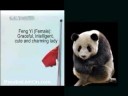 The Wolong Journey Chapter Four, I\ The Wolong Journey Chapter Four, I\