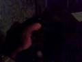 Baston La Palme Geoffrey.mp4
