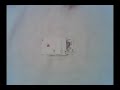 Elsf magic trick Buy it now!