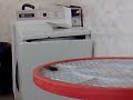 La bestia nei bagni del Marina di Rossano parte 2�