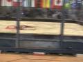 videos de Botfly vs. Who's Your Daddy - RG05