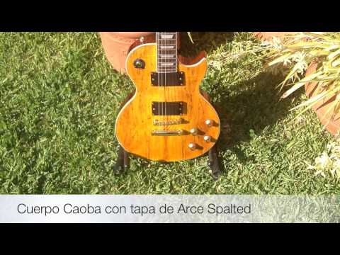 Guitarras StarSMaker® estilo LP Parte 2