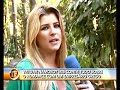 �ris no Tv Fama-06-09-2.007