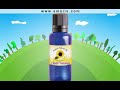 Anal Fissures Treatment Anal Fissures Treatment