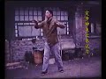 Yiquan (意拳) - Yao Chengguang (姚承光) & Yao Chengrong (姚承荣)