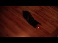 See Video