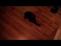 See Video