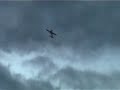aero works yak 54 tur 3