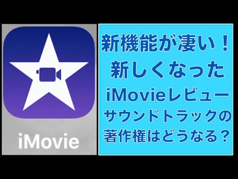 動画