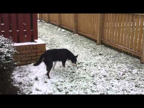 how to cure unbalanced equilibrium