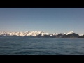 Video of Orcas swimming. Captured during our tour of the Kenai Fjords.
