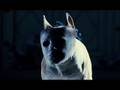 The Unborn starring Meagan Good and Idris Elba (THIS IS SCARY!!!)