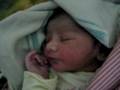videos de new born babay