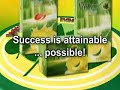 First Vitaplus - Youtube First Vitaplus - Youtube
