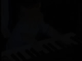 YTPMV [Keyboard Cat - Nonsens]