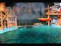 videos de Dolphin, Indy's Awesome Jump