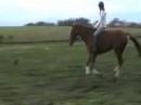 Riding My Horse Bareback