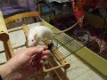 Getting Braver