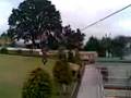videos de Granja Old Macdonald