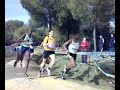 bekele