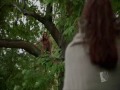 Sarah Wayne Callies Tribute