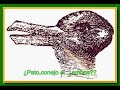 Ilusiones �pticas de Zyglak