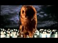 Plastic tree / 梟【HD PV】