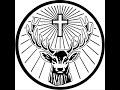 Jägermeister - Rudi der Hirsch Jägermeister - Rudi der Hirsch