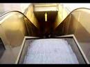 Roufi dans les escalator