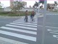 raimon salas in jackass