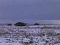 Swedish Armed Forces
