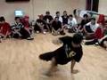 BBOY-SINEERS-VS-BBOY