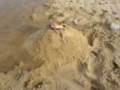 videos de Nathan Trapped