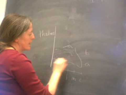 Turbidites