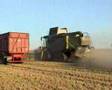 lexion 600TT combine