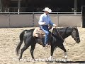 Horse Training Tips - Using A HeadSetter, part 2