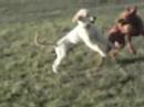 snoop-dogg-dr-dre-who-am-i-whats-my-name.html