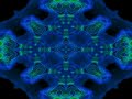 Ayahuasca - New Moon Ayahuasca - New Moon