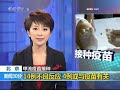 用兔子当抹布擦地饲主遭网友狂批- part 3