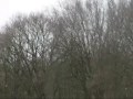 Waterraket team [D&P] record flight of 40 seconds!