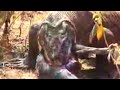 headzup-rudys-healthcare.html