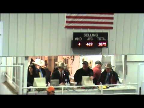 Jared Miller - 2012 Greater Midwest Livestock Auctioneer Contest.