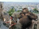 Sasquatch Bigfoot Alien UFO Loch Ness Sighting in Europe All 4 WTF !!!! Sasquatch Bigfoot Alien UFO Loch Ness Sighting in Europe All 4 WTF !!!!